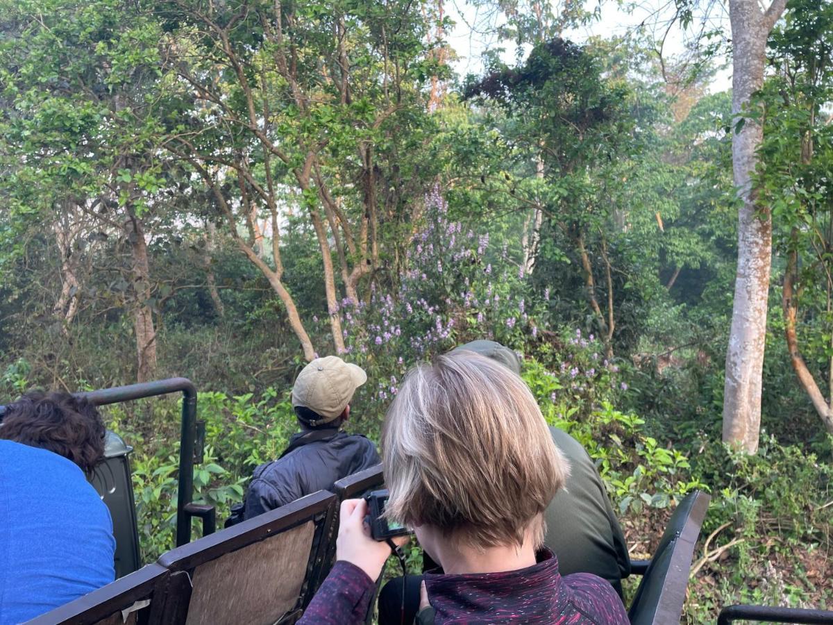 Hotel Tree Tops Sauraha Exterior foto